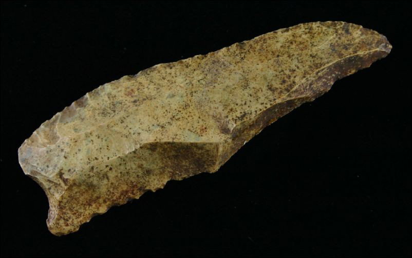 3 3/4" Paleo Knife: Nice creek staining. Multi-purpose paleo tool with nice edgework. Had to be from a Clovis tool kit. Found in Bath Co., Kentucky.