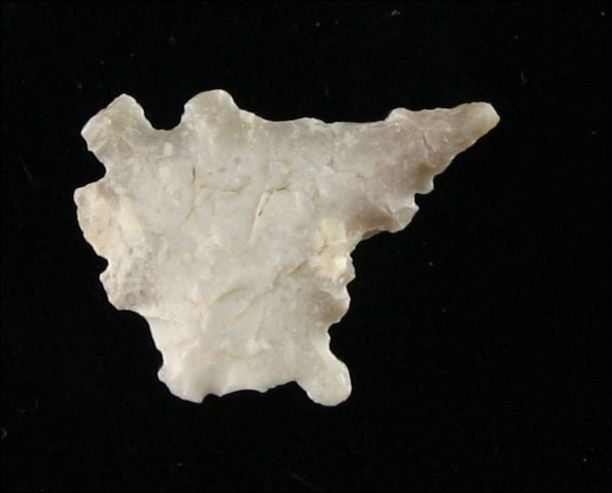 Exotic 7/8" Maljamar: Exotic example of this rare type. Many believe this type was made to simulate various insects and small critters. Found in Pima Co., Arizona. Ex- Abbinante Collection.