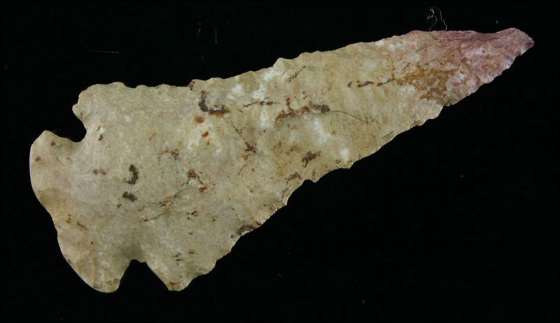 3" Dovetail: Pretty mocha and cream Ft. Payne with a red tip. Fayette Co., Kentucky.