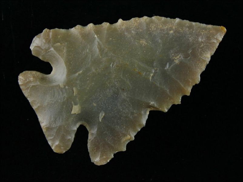 World Class 2 1/4" Pinetree: Highly translucent Carter Cave flint. Flaking to die for. Great serrations and a needle tip. Found by Jerry Taber in Bath Co., Kentucky.