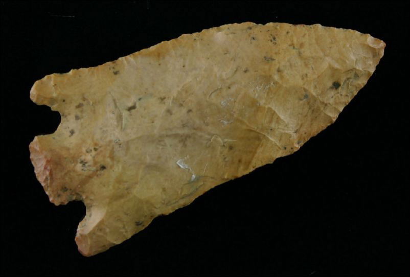 2 7/8" Eva - Jackson COA: Pretty Camden Chert from Central Tennessee. Problem free example with nice size and color. Jackson COA.