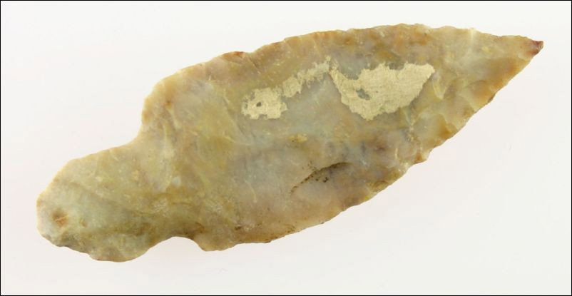 3 3/8" Turkeytail - Harrison: Needle tipped and made of translucent high grade Boyle Chert. Found in Bath Co., Kentucky. Ex- Humphries Collection.