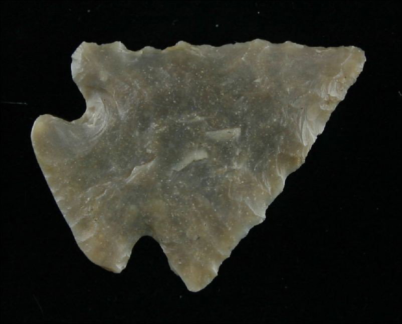 1 3/4" Cookie-Cutter Perfect Dovetail: Has great serrations and lots of translucency. Made of pretty Carter Cave flint and found in Bath Co., Kentucky.