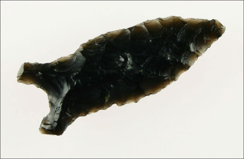 Killer 1 3/4" buchanan eared: Glossy black high grade Obsidian with n ice tranlucency around the perimeter. Great form with long 'Paleo like' ears. Found in Warner Valley, Oregon. Ex- Bill Jackson Collection.