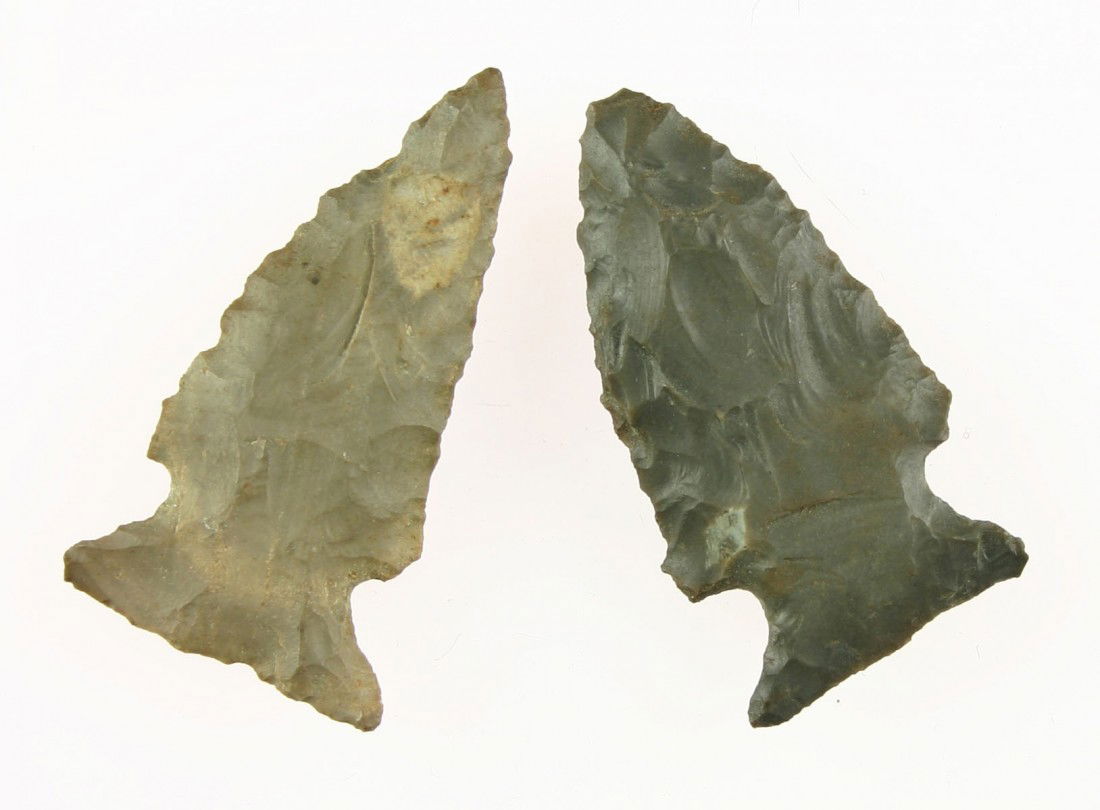 Nice Pair of Broad Based Hopewells: Found together in the same fiels in Montgomery Co., Kentucky. Light gray and dark gray. Longest is 2 inches.