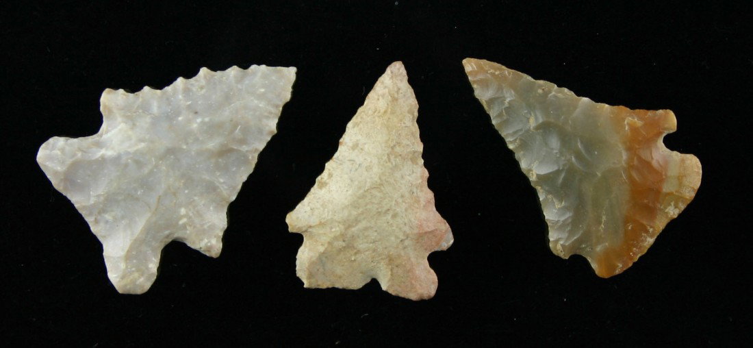 3 Excellent Small Pinetrees: Carter Cave, Fort Payne, and Boyle Chert examples. All virtually perfect and symmetrical. All about 1 1/4 inches each. All have needle tips. All found in Montgomery Co., Kentucky. Ex- Blevins Collecti