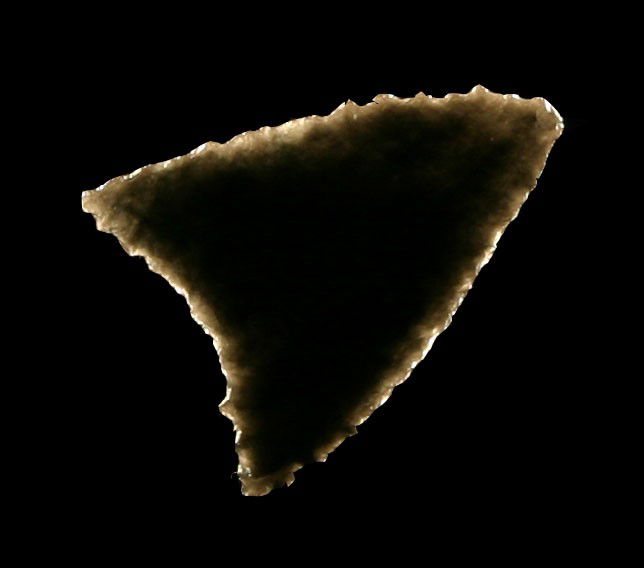 1 1/8" Canalino Triangle: Extra special example. Jet Black Obsidian and wafer thin. Finely serrated around the entire perimeter. Truly a little Gem!! Ventura Co., California.