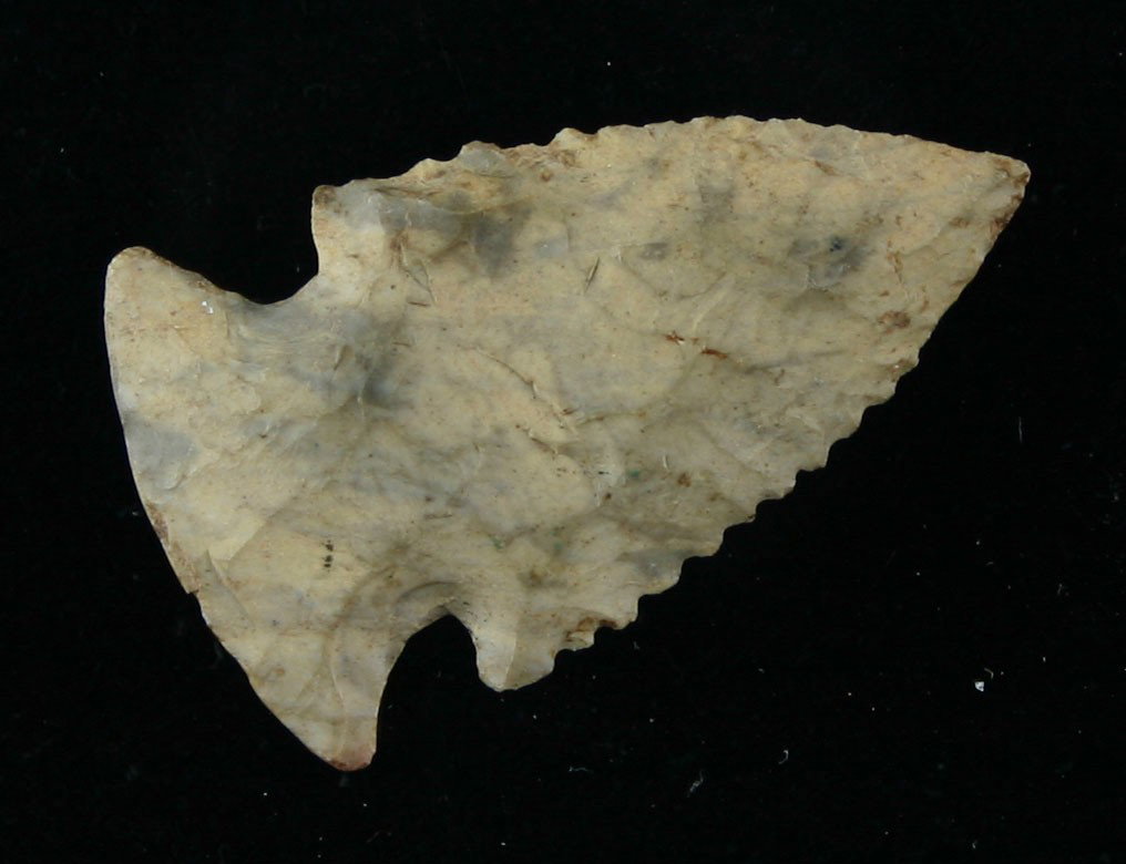 World Class 1 5/8" Palmer: Best example we have ever had. Minute serrations. Perfect symmetry. Heavily ground base. Great color. Pretty mottled Fort Payne Chert. This point has it all. Recovered in Mercer Co., Kentucky. Ex- Jud