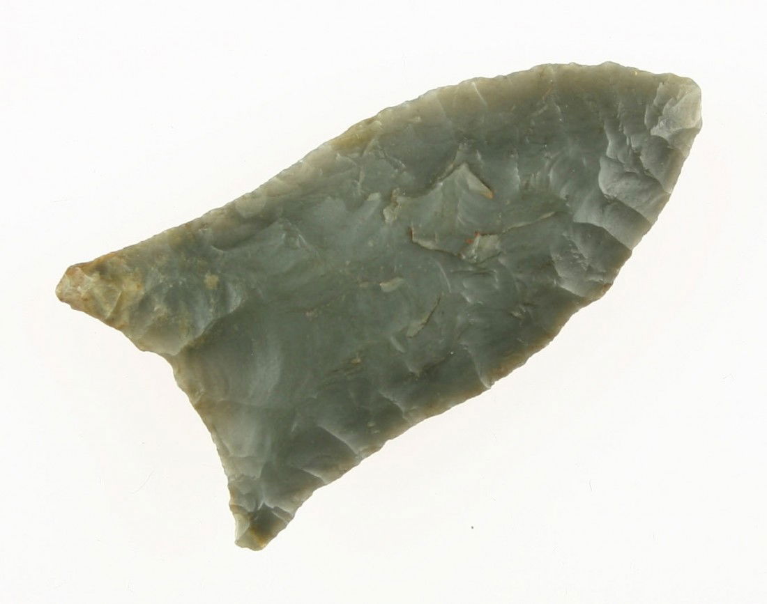 Fluted 2 3/8" Quad - Jackson 'G-9' COA: Gorgeous example made of high grade translucent Knox Chert. Distincely fluted. Logan Co., Kentucky. Jackson 'G-9' COA.