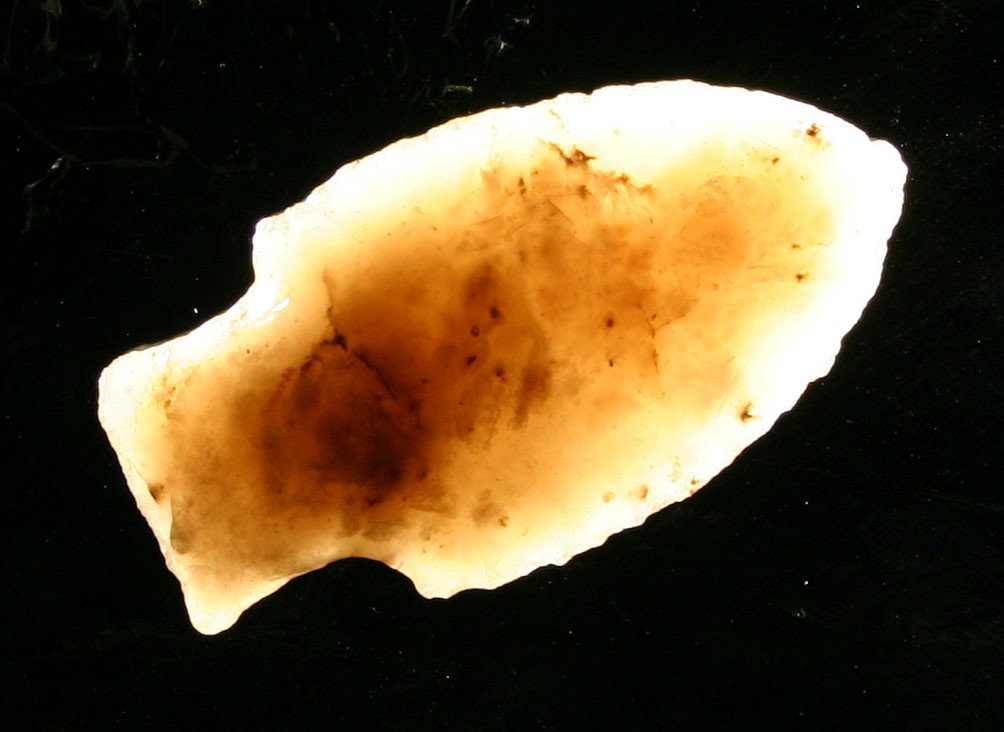 Killer 1 7/8" Moss Agate Scottsbluff - Rogers COA: Awesome translucent Moss Agate example. Superb Cody flaking. Found in Dry Springs , Colorado. Rogers COA.
