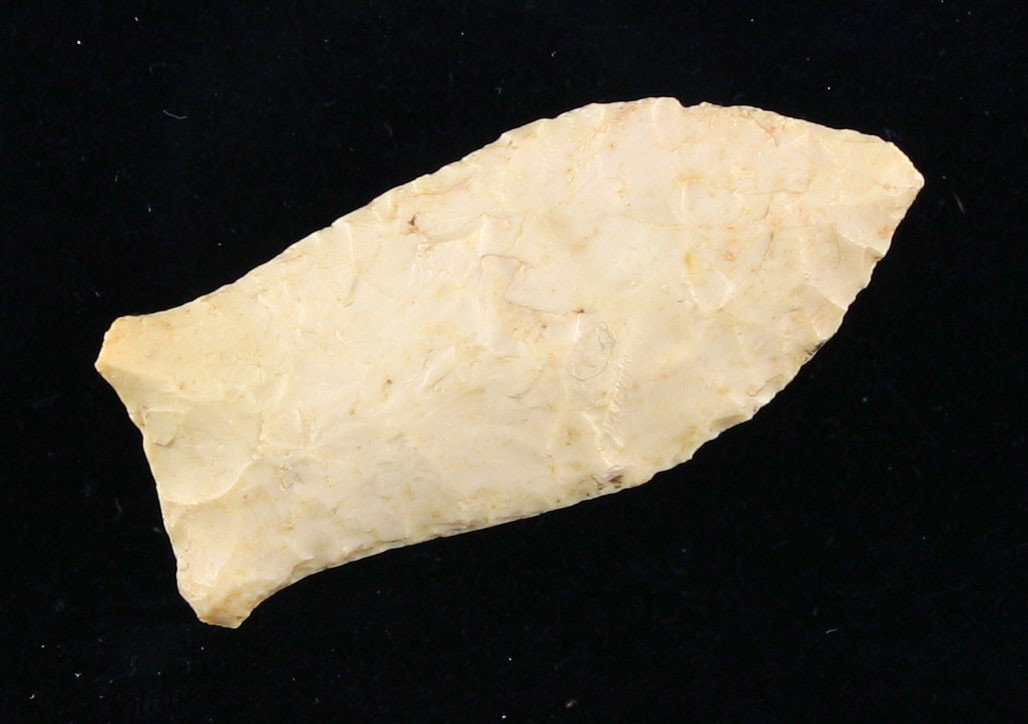 1 7/8" Beaver Lake: Beautiful butter cream colored high grade chert. Great form and symmetry. Found in Bath Co., Kentucky. Ex- Burgess Collection.