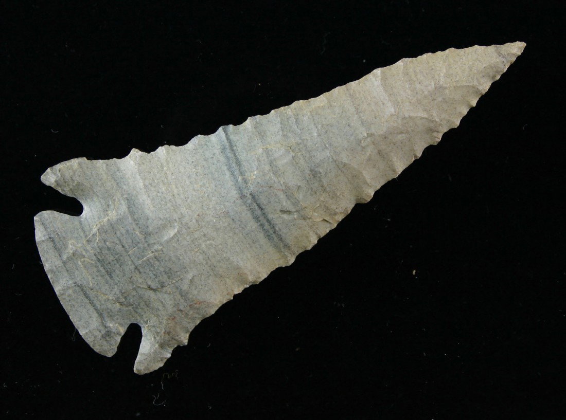 World Class 3 1/8" Pinetree - Jackson G-10' & Roge: Truly s good as they get. Awesome color. Awesome flaking. Awesome size. Perfect symmetry. Lethal serrations. Recovered at the famous Swans Landing Site in Indiana. Material ID'ed as Attica Chert. Jack