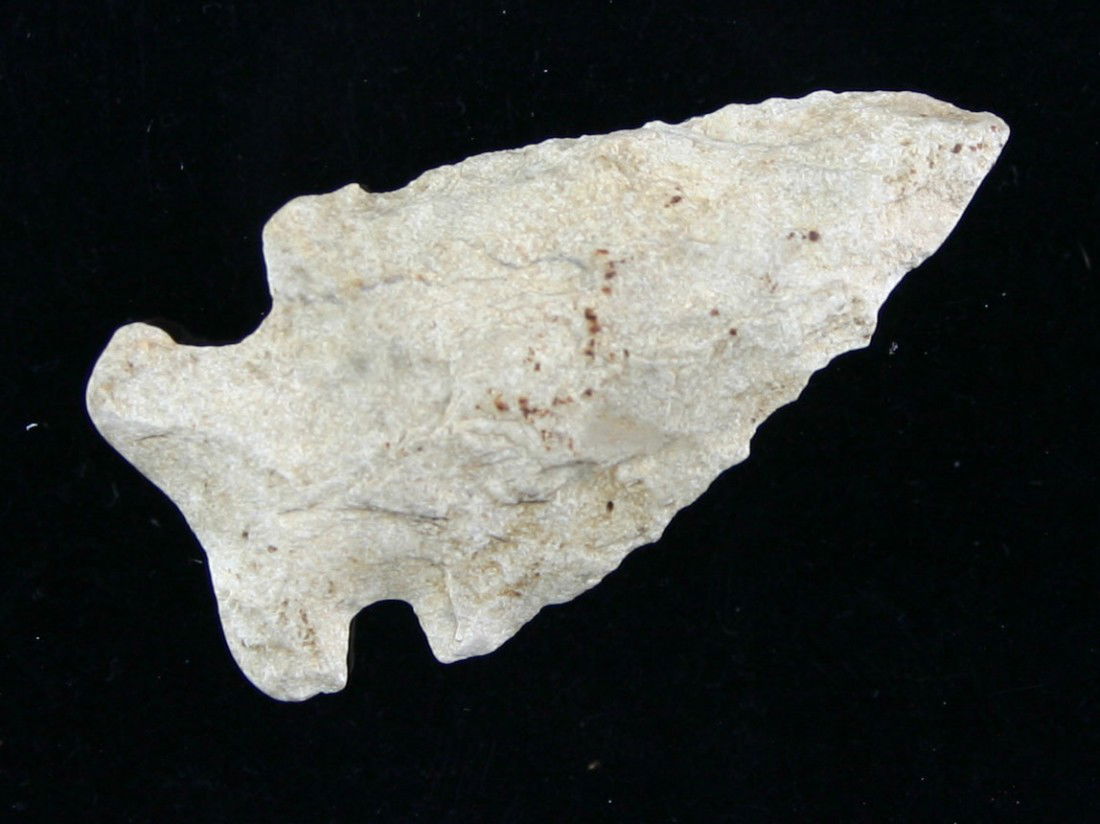 1 7/8" Bolen: Nice serrated example in Coastal Plains Chert from Alabama.