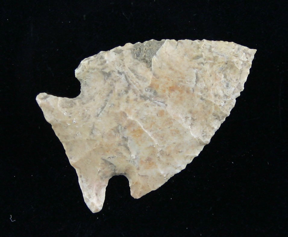 Excellent 1 3/8" Intrusive Mound: Great symmetry. Pretty fossil chert. Found in Bath Co., Kentucky.