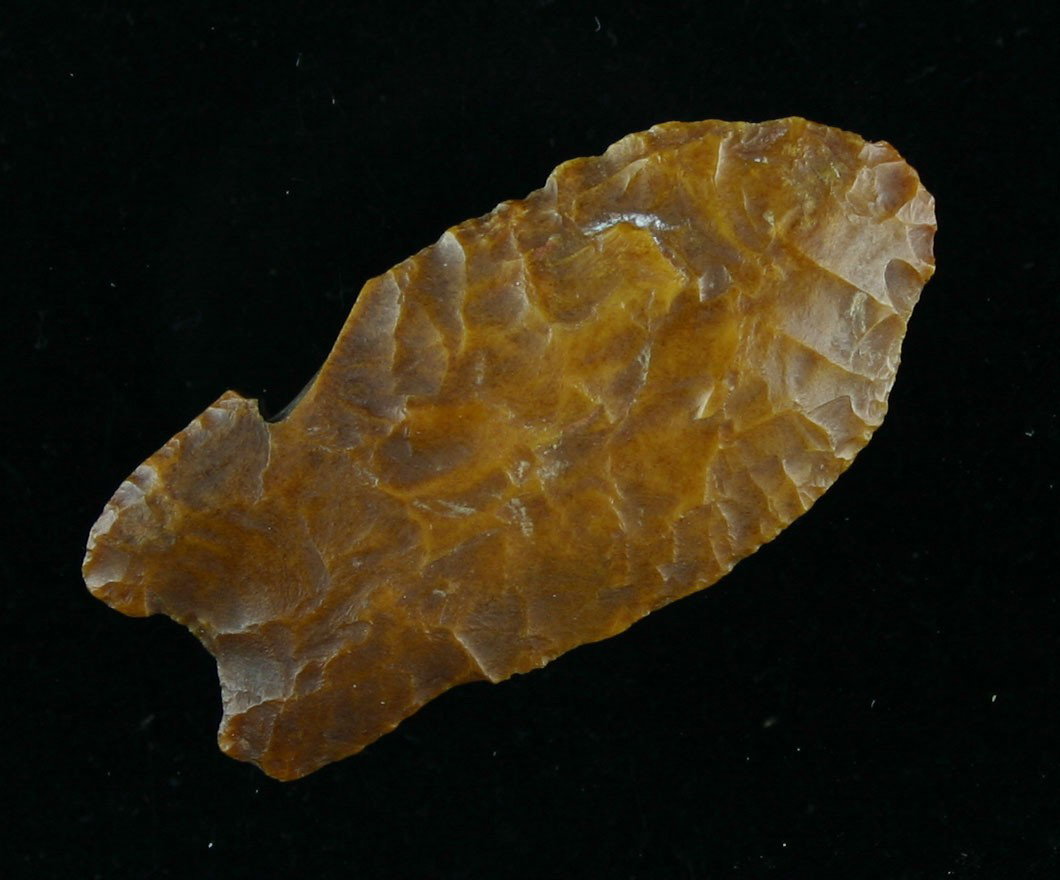 1 3/4" Duncan: Thin with great early flaking. Heavily patinated brown fossil chert. Found in Mountrail Co., North Dakota.