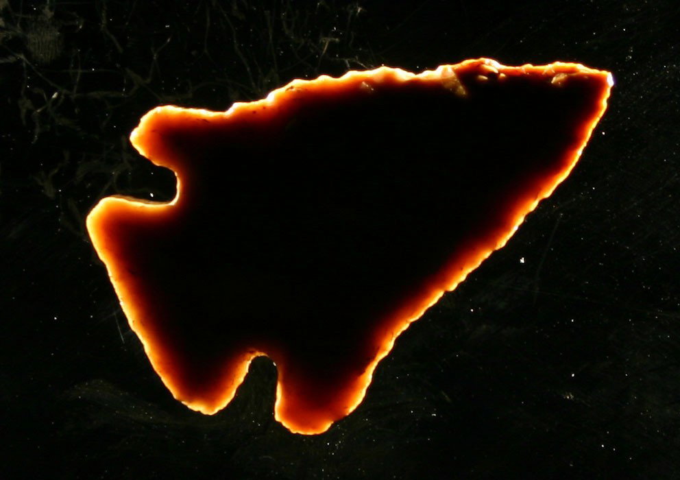 Perfect 1 3/4" Pinetree: Extra pretty Carter Cave flint. Excellent flaking. Found in Bath Co., Kentucky. Ex- White Collection.