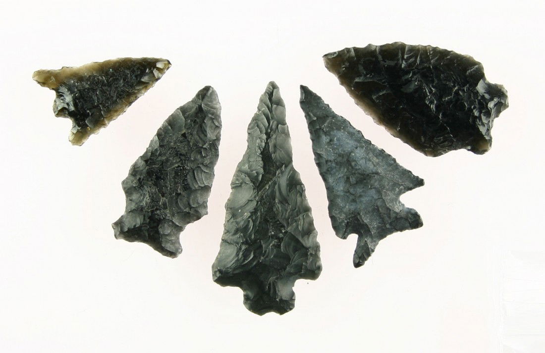 5 Obsidian Darts: Various types. Elko, Columbia Plateau, etc. Biggest 1 1/2". All found in Lake Co., Oregon.