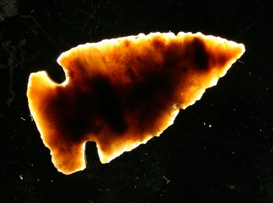 1 5/8" Knights Island: Wafer thin. Highly translucent Carter Cave flint. Found in Bath Co., Kentucky.