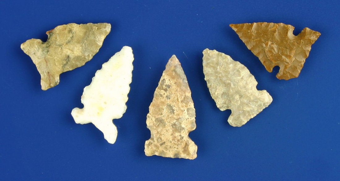 5 Excellent Side Notched Birdpoints: Various materials. 4 with nice translucency. Ex- Lloyd Dugstad Collection (Who's Who., Vol 2, page 59) of Albert Lea, Minnesota. Biggest is 1 1/8th inch. Smallest is 1 inch. All thin and well made.