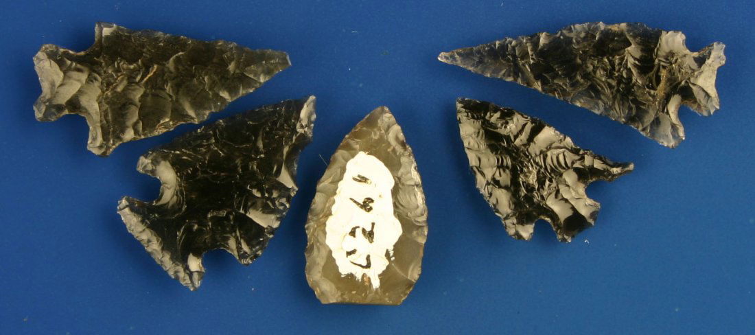 5 Nice Translucent Obsidian Points: Various types. All translucent. All from Lake Co., Oregon. Biggest is 1 3/8". Ex- Butch Clark Collection.