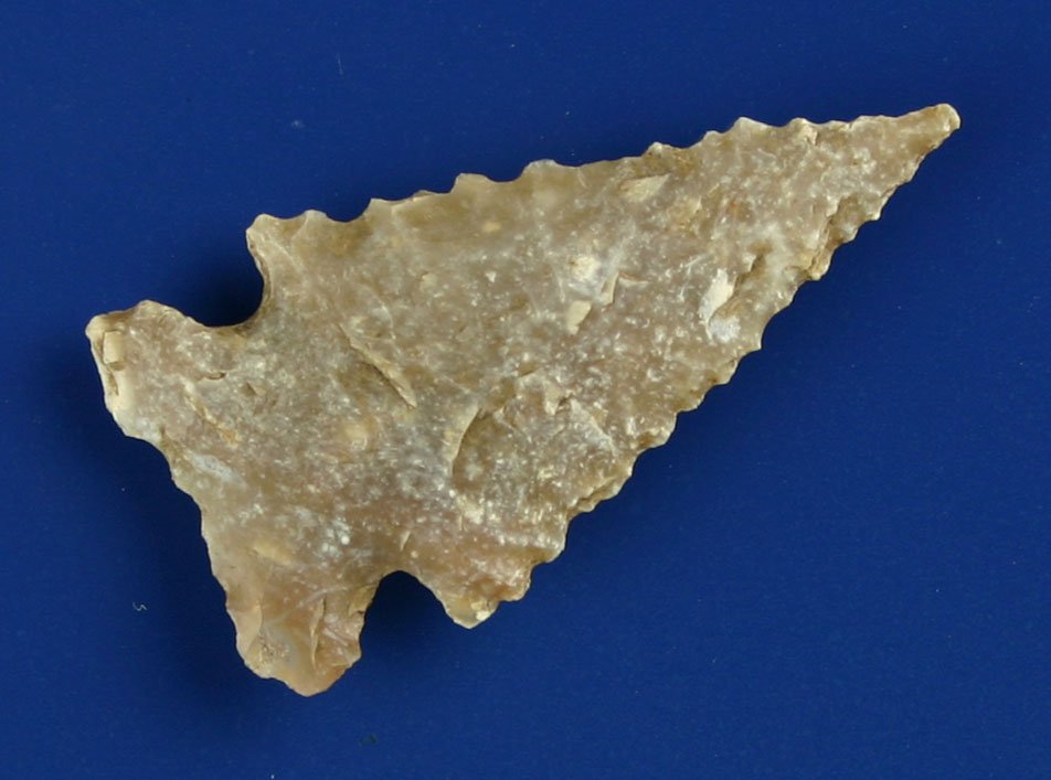 1 5/8" Translucent Ensor: Serrated example found at Scorpion Hill in Travis Co., Texas near Scenic Brook by David McIntosh. Totally translucent. Killer!