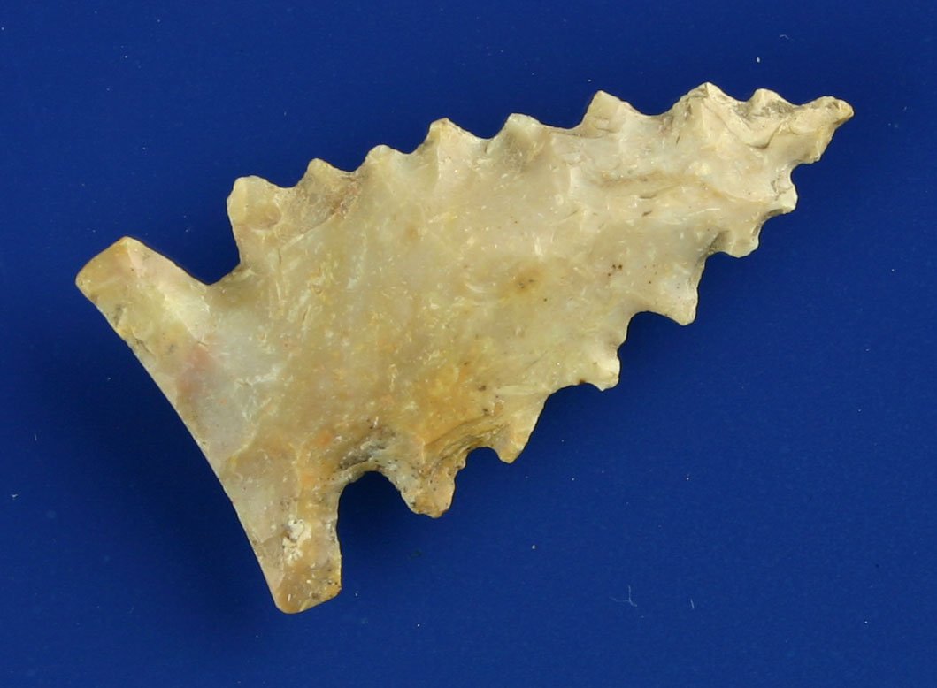 1 3/4" Palmer: Super serrated example from Central Kentucky in Boyle Chert. Ex - Daugherty.