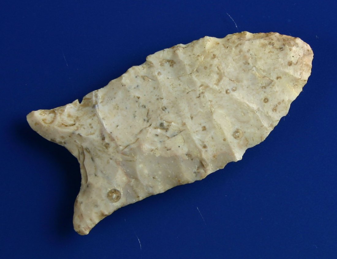 1 15/16" Beaver Lake - Jackson COA: Nice textbook example from Bath Co., Kentucky in a pretty cream and gray Boyle Chert.