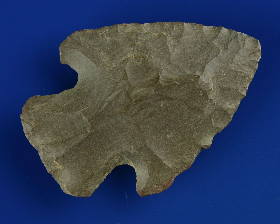 2 3/8" Grand: Brown Fossil Chert example found in Saline Co., Arkansas by Ruben Rankin. Nice!