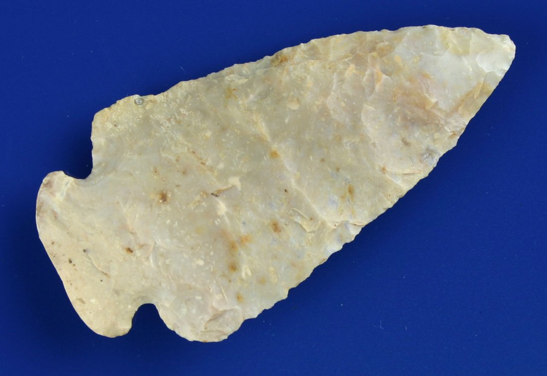 2 7/8" Dovetail: Nicely done example in a colorful Boyle Chert. Fayette Co., Kentucky. Ex - Dr. Joe Daugherty Collection. All there with great mineralization.