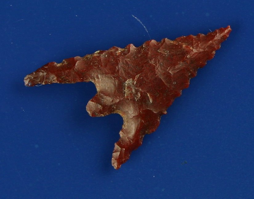 1 1/4" Gunther Barbed: Beautiful maroon Agate with lots of translucency. Ex- Ernie Cowles and Jeff Wilcox Collections. Found in Oregon. One ear broken and glued. Barely noticeable.