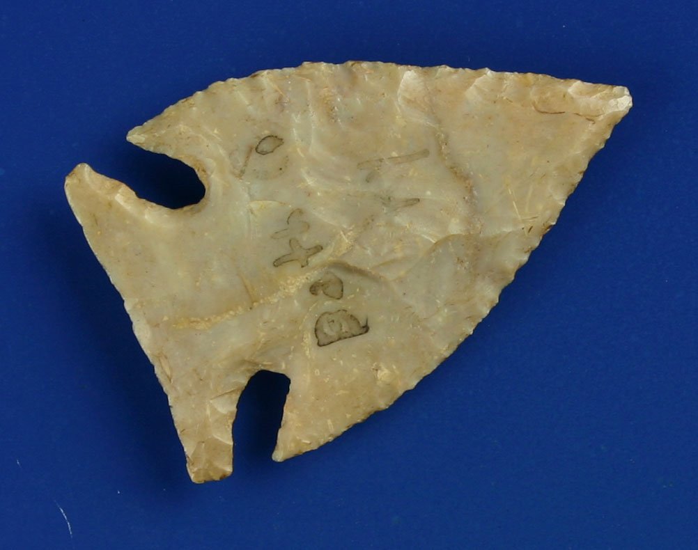 1 7/16" Translucent Jacks Reef: Truly cookie cutter perfect. Ultra thin and lots of translucency. Pretty Boyle Chert. Found in Bath Co., Kentucky. Ex- Humphries and Harris Collections.