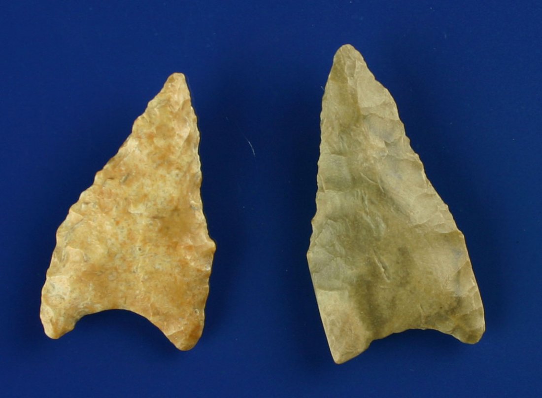 Pair of Allen points: Nice pair of these Paleo goodies found by Homer Wooley in Kay Co., Oklahoma. River Polished flint. Largest 1 9/16"