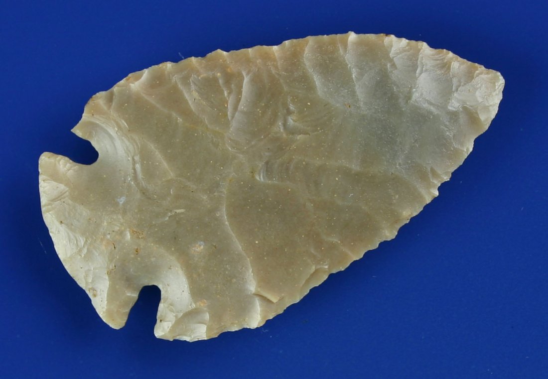 Super Fine 2 1/2" Translucent Carter Cave Dovetail: Awesome example with great serrations and tremendous translucency. Classic Caramel colored Carter Cave. Found in Grant Co., Kentucky. Ex- Ratliff Collection. Jackson COA.