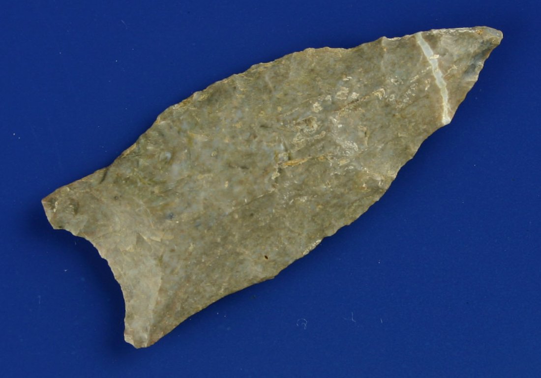 2 3/8" Beaver Lake: Pretty example in Harrodsburg Fossil Chert. Central Kentucky. Ex - Daugherty.
