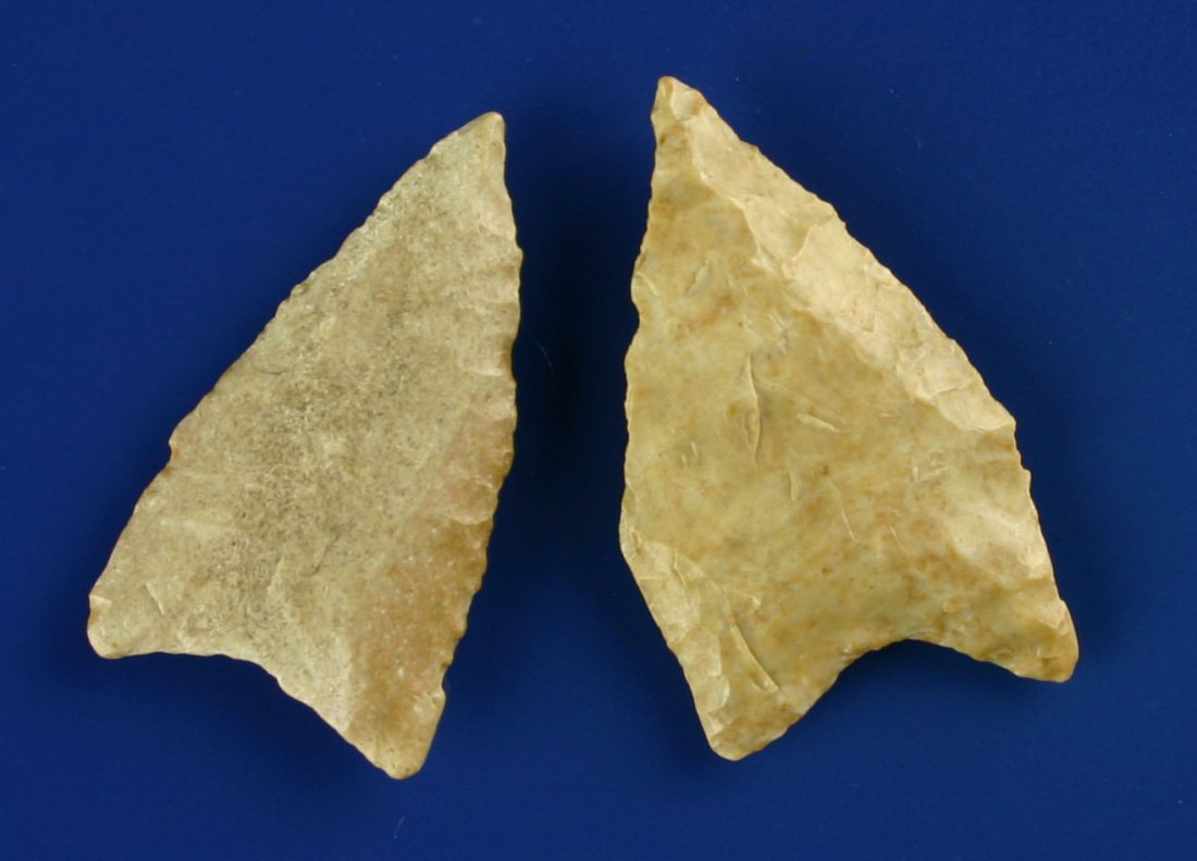 Pair of Allen Points: Nce set of similarly sized Allens from Kay Co., Oklahoma. Found by Homer Wooley. Largest 1 13/16"