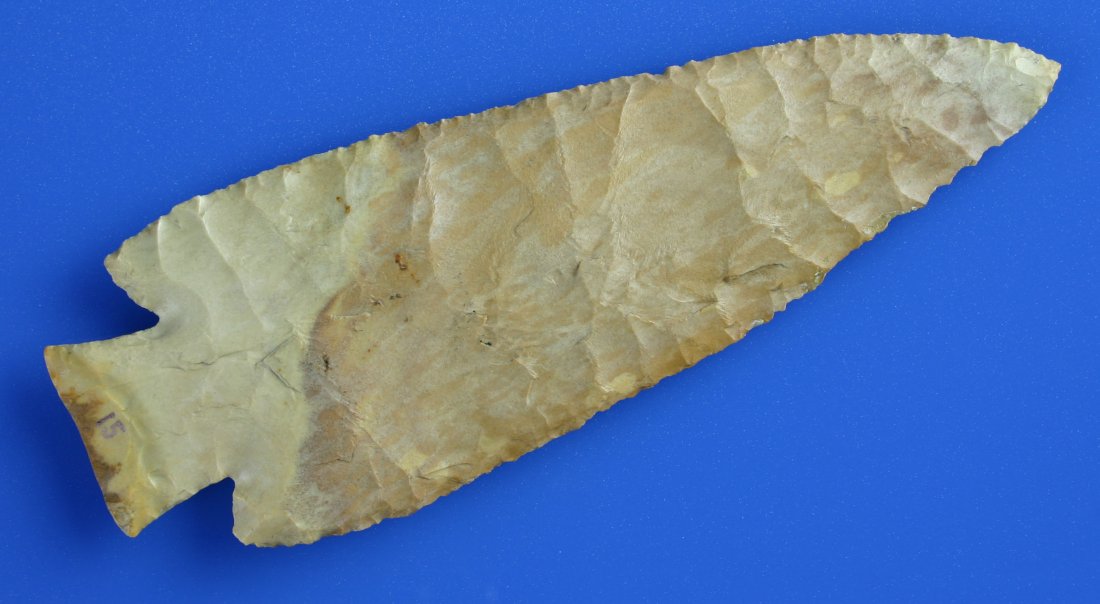 Huge 6 1/8" Hardin: Ultra thin. Pretty two toned Burlington chert. Almost first stage. Exhibits just one light resharpening. You would still be jumping up and down in the field if you found this one!!! Old script reads -