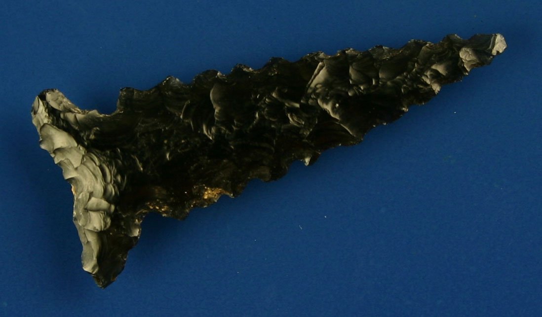 1 9/16" Nawthis: Obsidian example with serrations. Northern New Mexico. Nice and all there.
