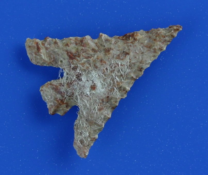 Killer 1 1/16" Columbia Plateau - Jackson 'G-10' CO: Extra pretty mottled chert with classic 'Kissing Lips' basal configuration. Ex- Floyd Hammond Collection. Yakima Co., Washington. Jackson 'G-10' COA.
