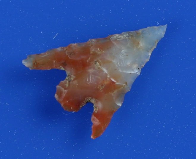 3/4" Columbia Plateau: Gorgeous multi-colored translucent Agate. Ex Hammond Collection. Yakima Co., Washington. G-10 for sure.