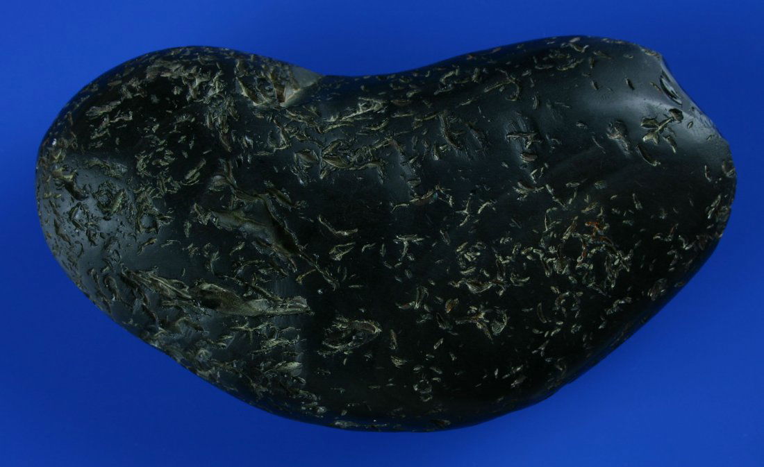 6" Obsidian Spall: Heavily worn piece of obsidian used as hammerstone. Unusual.