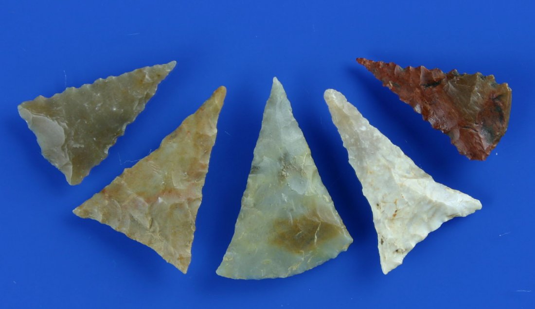 5 Awesome Kentucky Triangles: Various materials including Carter Cave and translucent Boyle. All found in NE Kentucky. All thin and excellent. One heavily serrated. One rare rounded base 'Feurt' type. All have needle tips. Biggest
