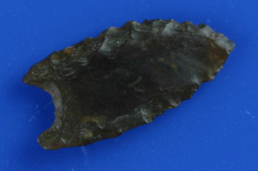 1 1/2" Goshen - Davis G-9/Putty/Partain COAs: Knife River Flint example found in Wyoming. Ex - John lees Collection. Davis G-9, Partain, Putty COAs. Totally translucent!