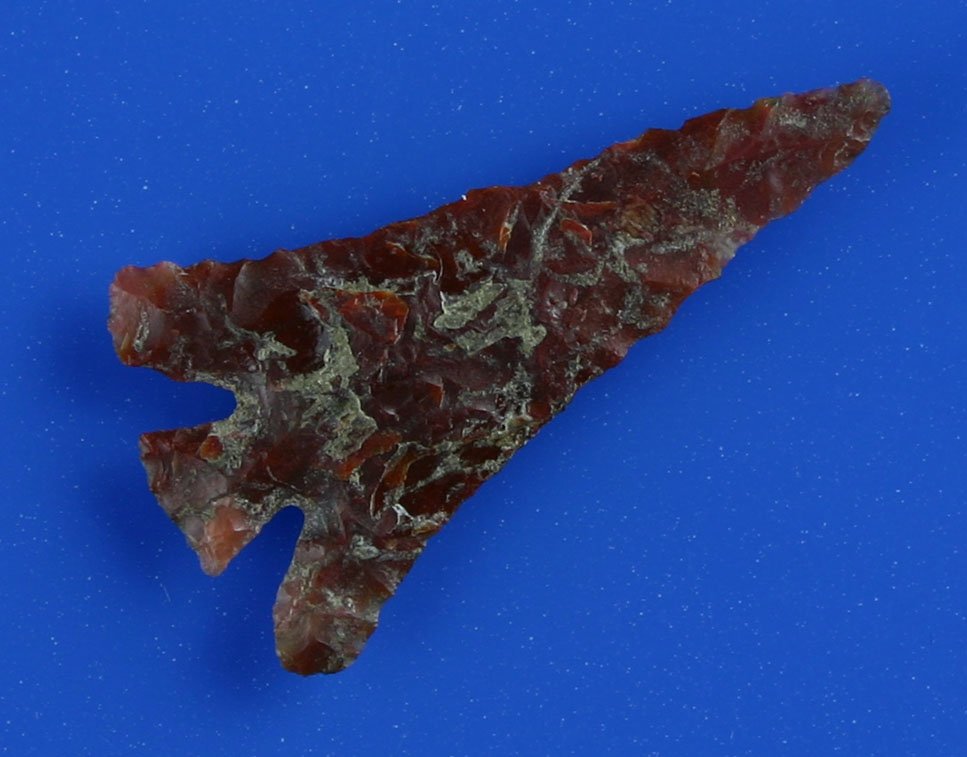 1 3/8" Eastagate - Jackson 'G-9' COA: Big and beautiful yet very thin. Gorgeous Red Agate with lots of translucency. Point has great eye appeal. Ex- Floyd Hammond Collection. Yakima Co., Washington. Jackson 'G-9' COA.
