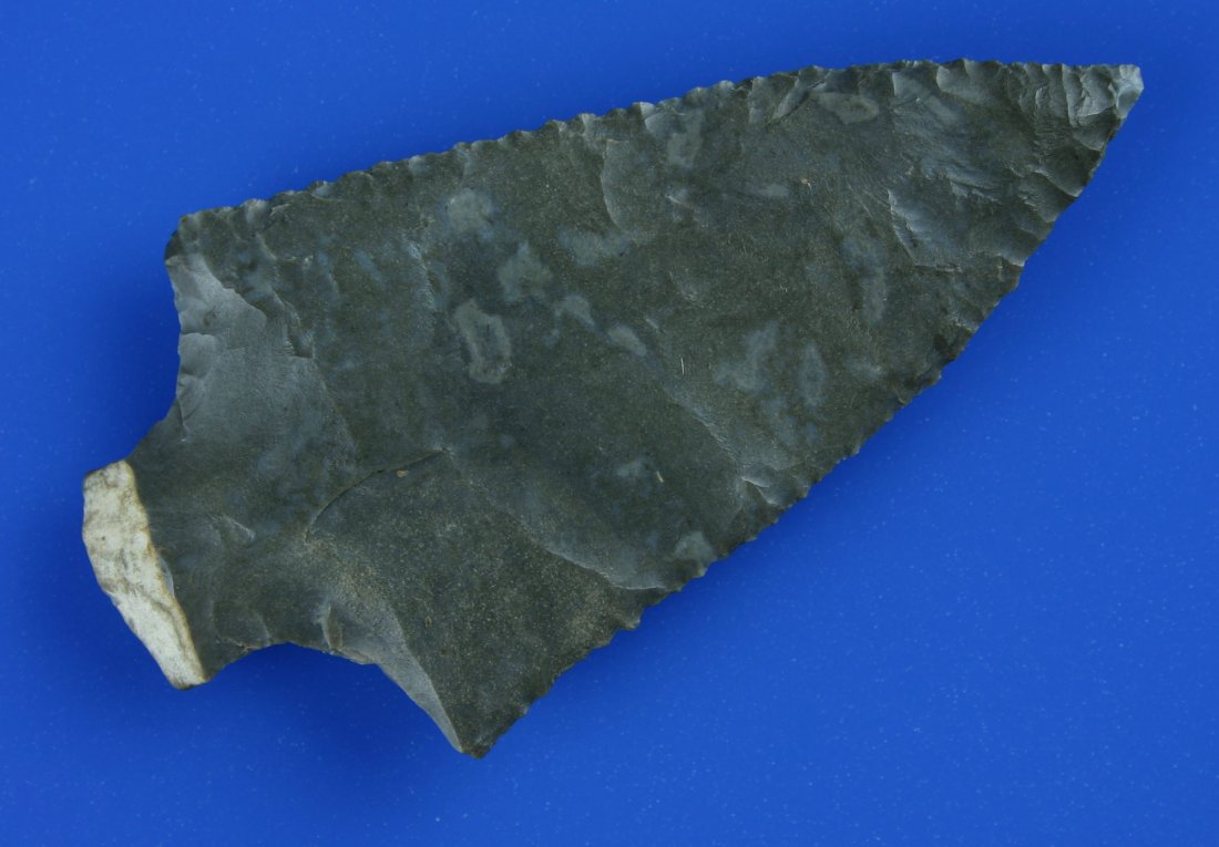 3 5/16" Pickwick - Ex-Bill Jackson Collection: Also Ex- Larry Merchant and Chuck Wiggins Collections. Super fine example. Classic Gray Hornstone flaked to the rind base with dozens of precise serrations all along both blade edges. Great relic. Fou