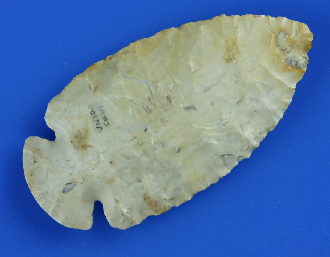2 7/8" Dovetail - Jackson COA: literally first stage example with just one light resharpening (no bevel yet). Pretty Tan, white, and gray mottled chert. Found in Union Co., Illinois. Jackson COA.