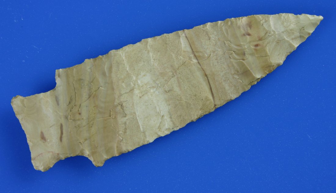 4 1/4" Scottsbluff - Jackson 'G-9' COA: Extremely thin with Cody flaking to die for! Lots of color too. Slightly 'knobbed' basal form. Great relic. Sedgwick Co., Colorado. Ex- Sapp Collection. Jackson 'G-9' COA.