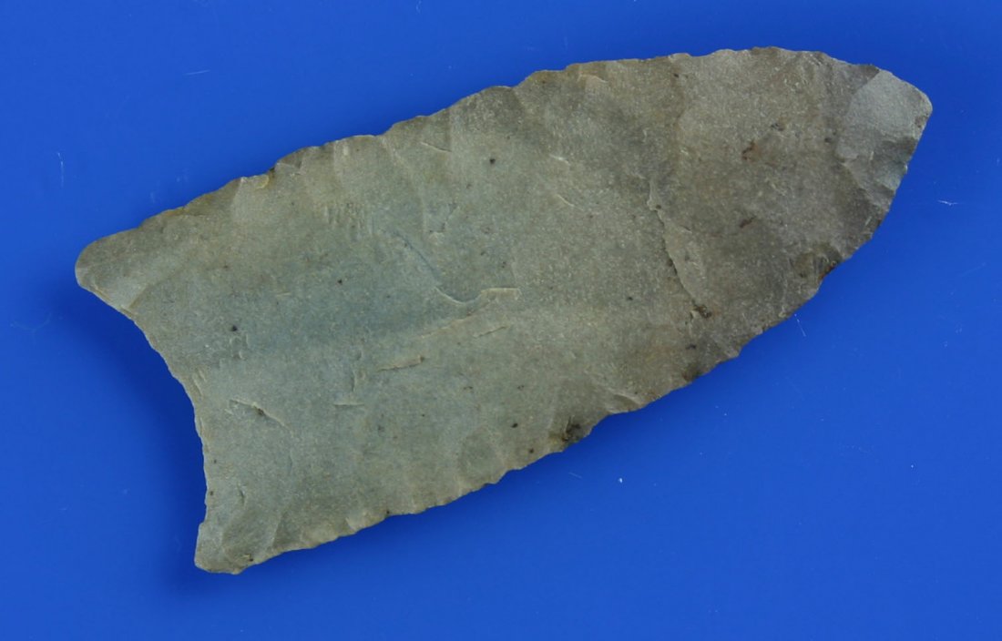 2 1/4" Clovis - Jackson 'G-9' COA.: Excellent thin Clovis with nice flutes and color. Made of a three tone green banded chert. Crawford Co., Indiana. Jackson 'G-9' COA.