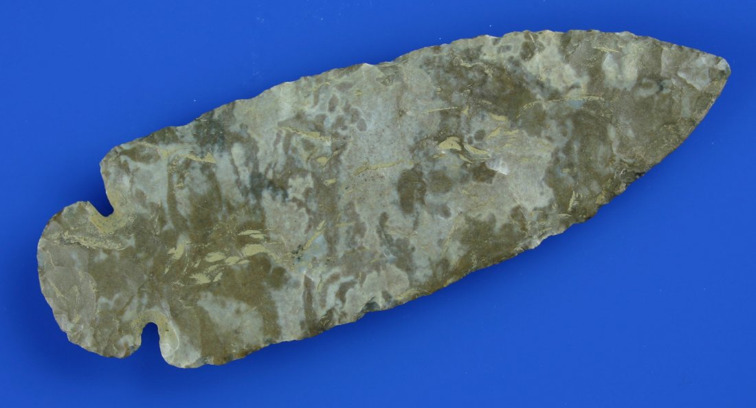 Big 4 1/2" Dovetail: Beautiful light gray/brown and white/cream Fort Payne. Found in Garrad Co., Kentucky. Ex- Hank Senn Collection. Virtually undectable minor tip restoration done by Dennis Bushey.