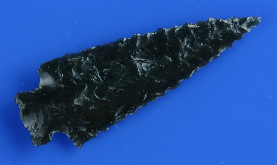 2 1/4" Elko: Really nice serrations on this Obsidian example from Washington State.