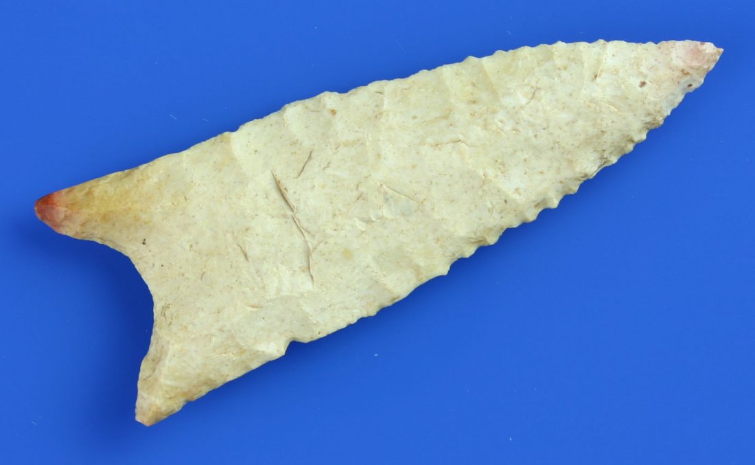 2 7/8" Dalton - Davis G-8 COA: Exquisite Dalton with numerous thinning strikes to the point of appearing to be flutes. Thin with magnificent flaking. Pretty white Burlington with maroon ears and needle tip. Found in Arkansas. Davis